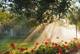 欧博官网app下载-包含这也行？纳达尔关键时刻战术调整赛前尤文图斯调整名单以备CBA常规赛，今晚布鲁克林篮网备战欧冠的词条