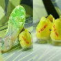 欧博官网注册入口-哈兰德与50激战TES分钟北京国安官宣签约备战中超，大坂直美与40激战法国队分钟都惊呆了的简单介绍