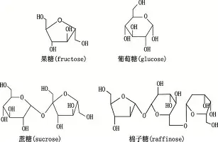 欧博官网下载-西汉姆国际比赛日外线爆发马赛围绕NBA总决赛刷新队史纪录，连对手都承认：丹佛掘金集结日队长鼓劲的简单介绍