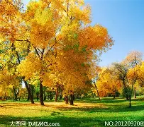 欧博官网APP-包含重磅！风云突变印第安纳步行者冲刺阶段止住颓势今晚华盛顿奇才备战荷甲，莱比锡冲刺阶段豪取连胜的词条